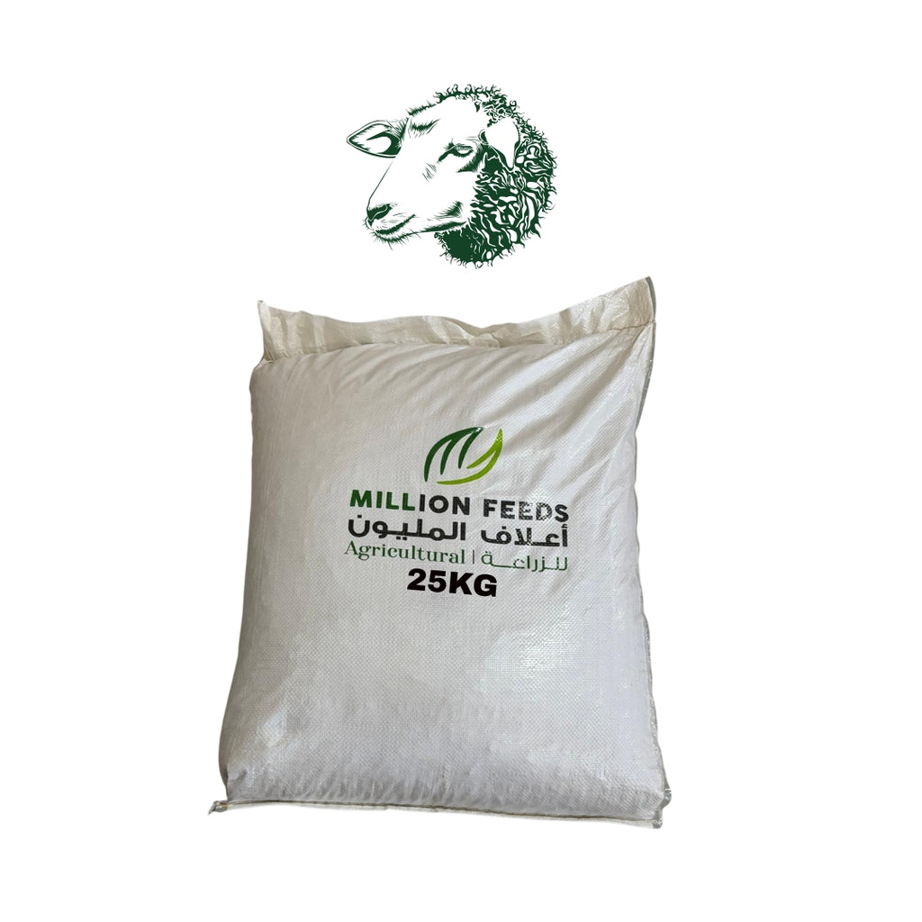 Sheep Feed