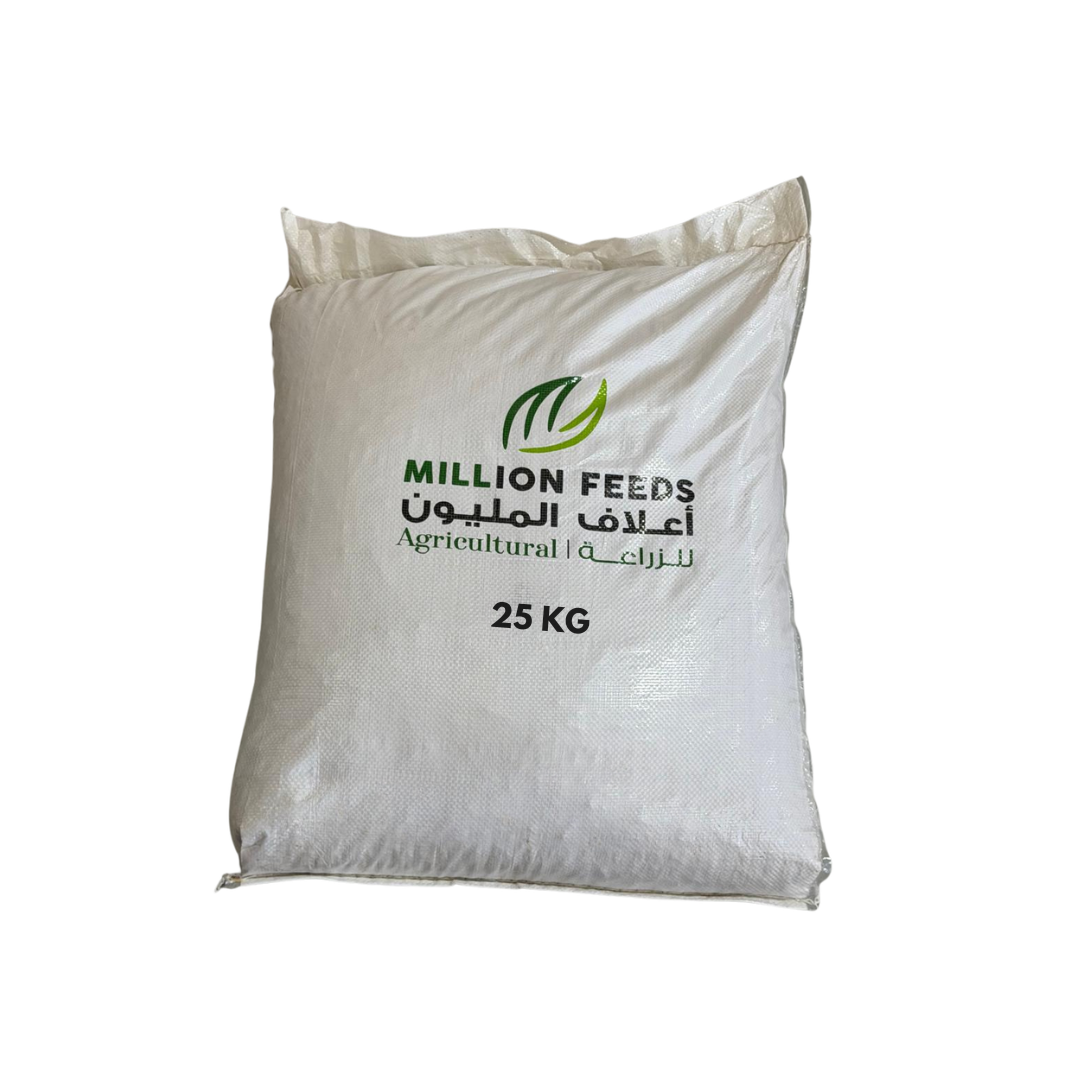 Sheep Feed