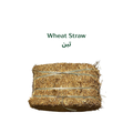 Wheat Straw