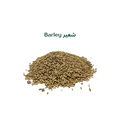 Barley