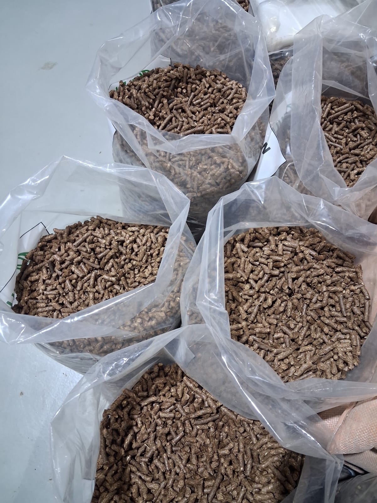 Sheep Feed
